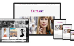 CSSIgniter Brittany WordPress themes v2.2.4 #