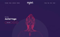 Cssignither Vigour WP Theme v1.1.0 #