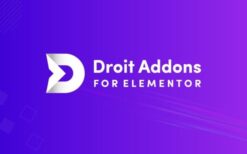 * Droit Elementor Addons Pro v2.0.6