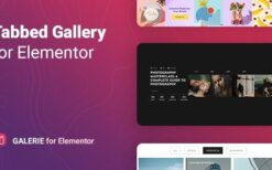 Tabbed Gallery for Elementor v1.0.7 Galerie