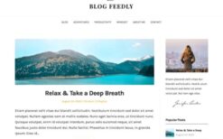 Blog Feedly v121.5 [Superbthemes]