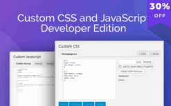 Custom CSS and JavaScript Developer Edition v1.0.22 [Wp Zone]