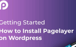 Pagelayer Pro (v2.0.4) Best WordPress Page Builder