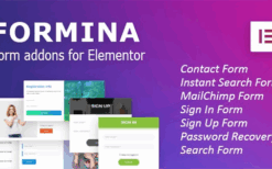 Formina (v1.0.11) Elementor Form Addon