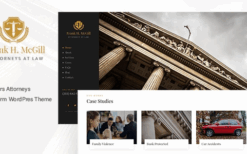 Mcgill (v1.0) Law Firm WordPress Theme