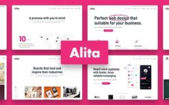 Alita (v1.0.7) Web Studio WordPress Theme