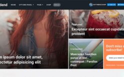 MTS: Dividend (v1.1.3) Excellent Magazine WordPress Theme