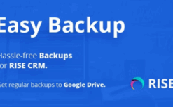 Easy Backup v1.2 Regular backups for RISE CRM