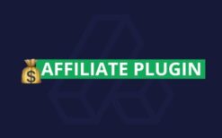 Affiliate Plugin (v4.0) The affiliate system (Addon for 66Analytics, EasyQR, phpBiolinks & SocialProofo v36)