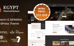 Egypt v2.1 Museum & Exhibition WordPress Theme