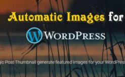 Magic Post Thumbnail Pro v6.0.4