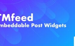 TMfeed (v1.1) WordPress Embeddable Post Widgets For Elementor