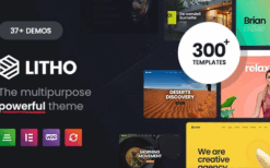 Litho (v3.5) Multipurpose Elementor WordPress Theme