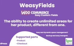 WooCommerce custom fields for products v1.0.1 WeasyFields