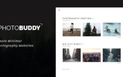 PhotoBuddy v1.1 Photography WordPress Theme