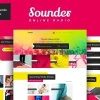 Sounder (v1.3.10) Online Radio WordPress Theme