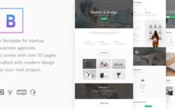 BoTheme v1.4 Startup Business WordPress Theme
