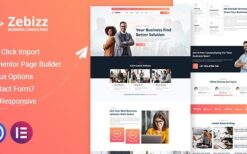 Zebizz (v1.0) Business Consulting WordPress Theme