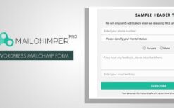 MailChimper PRO v1.8.3.4 WordPress MailChimp Signup Form Plugin