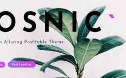 Osnic v3.0.0 Adsense WordPress Theme