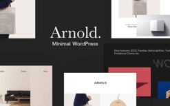 Arnold v.2.5.0 Minimal Portfolio Theme