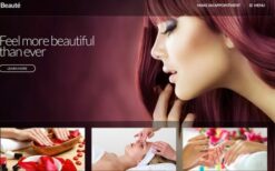 CSS Igniter Beaute v2.0.6 WordPress Theme