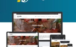 Igloo CSSIgniter Themes v1.9.1