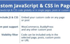 Custom JavaScript & CSS in Pages v3.7