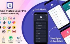 All In One Status Saver v20.0 Whatsapp, WA Business, Facebook, Instagram, TikTok, Twitter, Vimeo, Likee Download