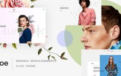 Ciloe (v1.6.2) Multipurpose theme for WooCommerce
