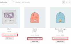 Product Condition for WooCommerce v1.4.6