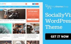 MyThemeShop Viral WordPress Theme v1.1.4