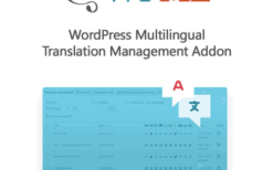 WordPress Multilingual Translation Management Addon v2.10.8