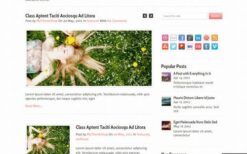 MyThemeShop Pureview WordPress Theme v1.1.2