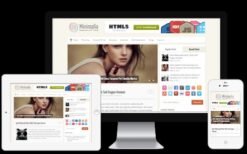 MyThemeShop Minimalia WordPress Theme v1.3.1