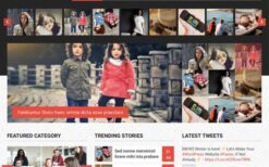 MyThemeShop Immunity WordPress Theme v1.2.3