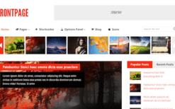 MyThemeShop Frontpage WordPress Theme (v1.2.4)