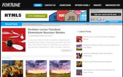 MyThemeShop Fortune WordPress Theme v1.1.0