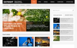 MyThemeShop Daynight WordPress Theme v1.1.1