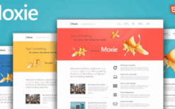 Moxie v1.3.19 Responsive Theme for WordPress