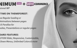 MINIMUM (v4.1) Professional WordPress Theme