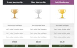 Storefront Pricing Tables v1.1.0