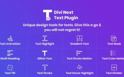 Divi Next Texts v2.3