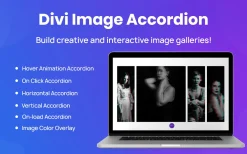 Divi Image Accordion v1.4