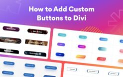 Divi Next Button v2.2