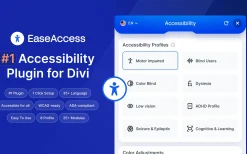 EaseAccess v1.1.2 (DiviNext)