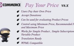 WooCommerce Pay Your Price v8.3