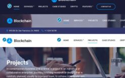 CSS Igniter Blockchain WordPress Theme v1.2.5