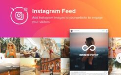 Elfsight Instagram Feed v4.0.3 WordPress Instagram Plugin