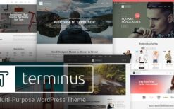 Terminus v1.4.8 Multi-Purpose WordPress Theme